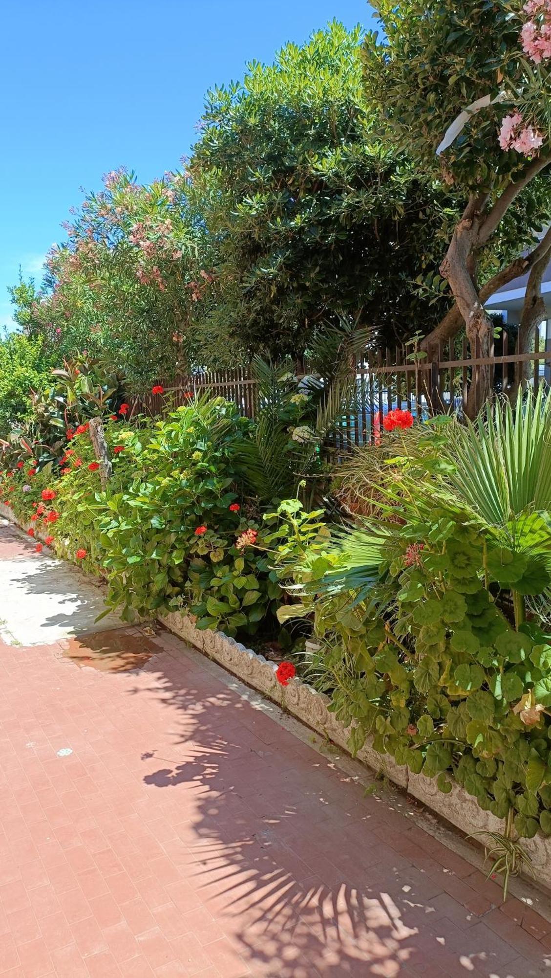 Fco Airport - A Casa Di Gisa Apartment Fiumicino Exterior photo